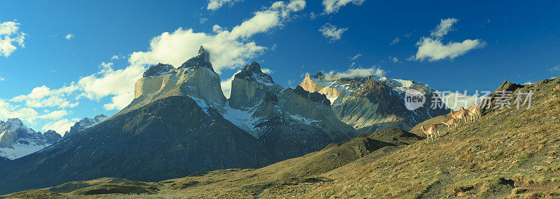 Torres del Paine - 智利巴塔哥尼亚